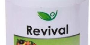 Revival Multivitamins Capsule