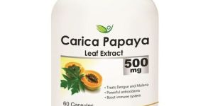 Papaya Leaf Extract