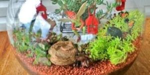 Glass Fish Bowl