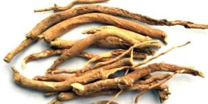 Ashwagandha Root
