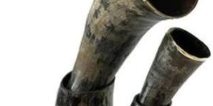Drinking Horn