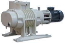 Roots Vacuum Pump Motor