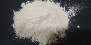 Diatomaceous Earth Powder