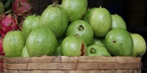 Fresh Guava