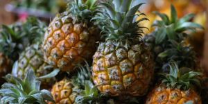 Fresh Pineapple