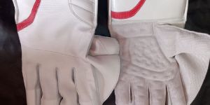 Wicket Keeping Gloves