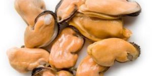 Frozen Mussel Meat
