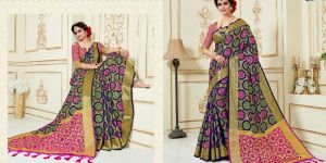 VOL 3 Ashika Salem Traditional Silk Sarees