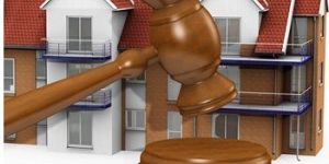 Property Legal Consultant