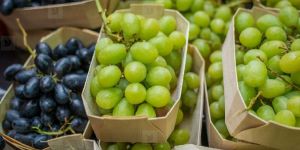 Fresh Grapes