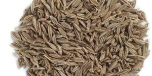 Cumin Seeds