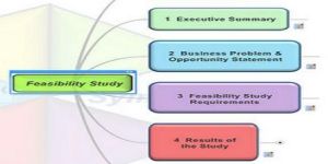 Feasibility Study Software Development