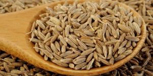 Cumin Seeds