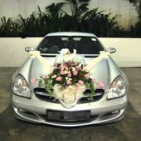 Wedding Car Rental