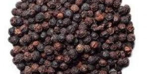 Organic Black Pepper Seeds