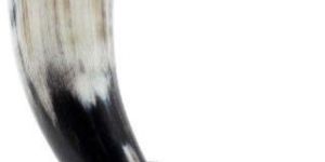 Viking Drinking Horn