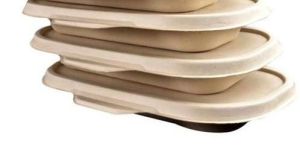 Biodegradable Container