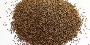 Floating Fish Feed
