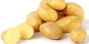 Fresh Baby Potato