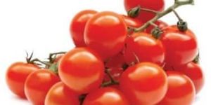 Fresh Cherry Tomato
