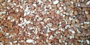 Broken Almond Kernel