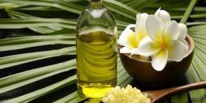 Frangipani Oil