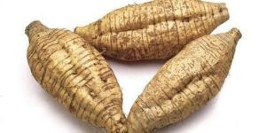 Fresh Arrowroot