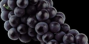 Fresh Black Grapes