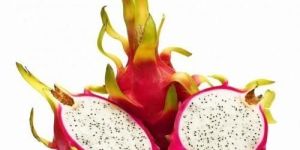 Fresh Dragon Fruit
