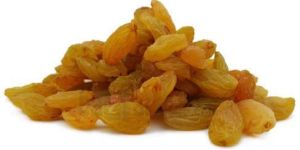 Golden Raisins