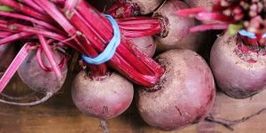 Fresh Beetroot