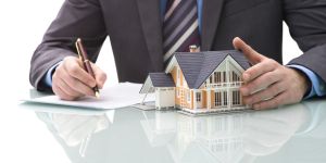 Real Estate Agent