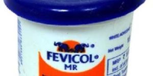 FEVICOL 10 GM PC JAR