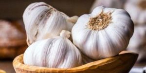 Fresh Organic Garlic