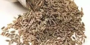 Organic Cumin Seeds
