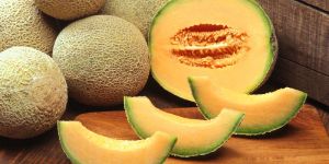 Fresh Muskmelon