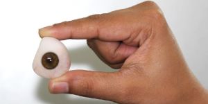 Artificial Eye