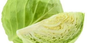 Fresh Cabbage