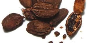Black Cardamom
