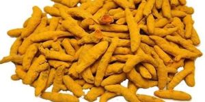 Organic Turmeric Finger