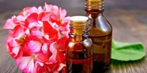 Geranium Oil