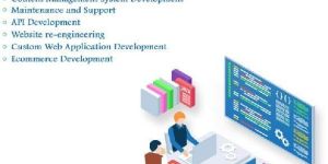 Software Development Services