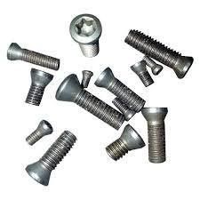 Stainless Steel Screw