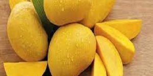 Fresh Chaunsa Mango
