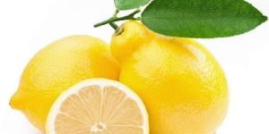 Fresh Lemon