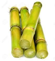 Fresh Sugarcane