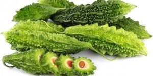 Fresh Bitter Gourd