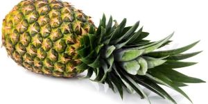 Fresh Pineapple