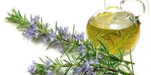 Rosemary Oil