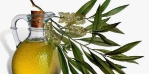 Tea Tree Oil